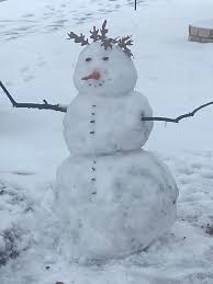 Snowman in my front yard of my photo studio Can only do this every 4 years  in Texas