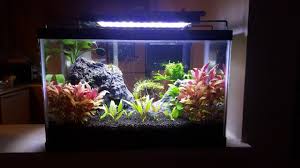 Nicrew led aquarium light, fish tank light with extendable brackets, white and bl. Aqueon 5 1 2 Gallon Tank Youtube
