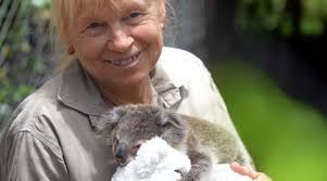 Regional Koala Conservation Stratgey