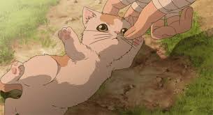 Https Encrypted Tbn0 Gstatic Com Images Q Tbn And9gcqugq Xwimvy3ivl48qwouwgl9kyi Qeqdz4w Usqp Cau See more of sukitte ii na yo (anime) on facebook. 2