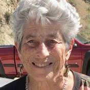 Honig Family Obituaries