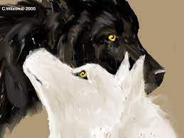 Thanks to its isolation, the arctic wolf is not threatened by hunting and habitat. Black Wolf White Wolf By Windseeker On Deviantart