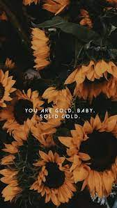 pin von skinny bullet auf wɑℓℓrɑryeʀs sonnenblumen tapete hintergrund iphone sonnenblumen