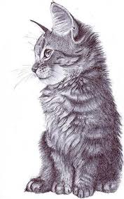 Illustration Drawing Art Cat Animal Drawings Cat Art Animal Art