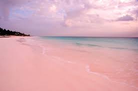 See more ideas about pink beach, pink, beach. Pink Sand Beach Harbour Island Bahamas In 2021 Beach Wallpaper Pink Sand Beach Pink Sand Beach Bahamas