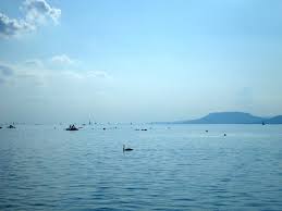 Top 10 funniest auditions britain's got talent 2016 (try not to laugh!) Darmowe Zdjecie Stockowe Jezioro Balaton Wegry 2 Freeimages Com