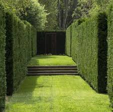 Aaaaahhhh Green Spaces Garden Hedges Beautiful Gardens Garden Design