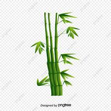 Cartoon Bamboo Cute Cartoon Vector Material Png Transparent Clipart Image And Psd File For Free Download In 2020 Bamboo Art Cute Cartoon Cartoon