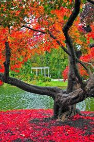 Old Westbury Gardens Old Westbury Gardens Westbury Gardens Old Westbury