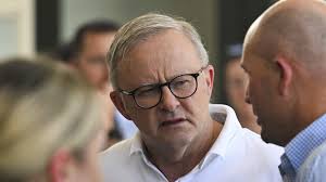 What you said about Anthony Albanese failing to call for Royal Commission