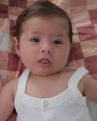 Audrey Levine Photo (@audreylevinephoto) • Instagram photos and videos