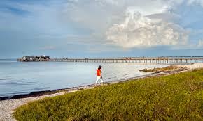 Maybe you would like to learn more about one of these? 500 Anna Maria Vacation Rentals Beach Houses And More Airbnb