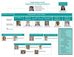 The Department Of Internal Medicine Organizational Chart