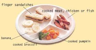 Image result for Solid diet images