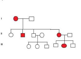 Pedigree Analysis Mcqs Simplified Biology