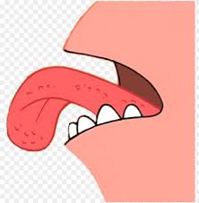 We did not find results for: Cartoon Spongebob Spongebob Squarepants Patrick Nickelodeon Roblox T Shirt Funny Png Image With Transparent Background Toppng