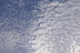 状 态 ： 进行中 进入访谈. ç½'ç»œè¾Ÿè°£ çœŸçš„æœ‰ åœ°éœ‡äº' å—