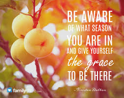Be Aware Of What Season You Are In And Give Yourself The Grace To Be There Kristen Dalton Be Yourself Quotes Quotes To Live By Quotes