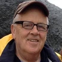 Delia Oconnor's Instagram, Twitter & Facebook