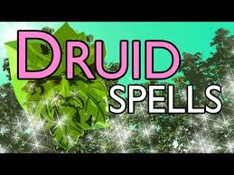 Davvy S D D 5e Druid Spell List Youtube