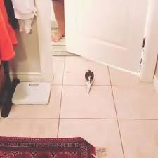 Rabia Adli Kullanicinin Muhabbet Kuslari Panosundaki Pin Video
