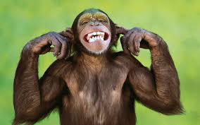 Polska to śmieszny kraj