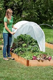 Check spelling or type a new query. How To Start A Winter Vegetable Garden The Cheap Vegetable Gardener Winter Vegetables Gardening Floating Garden Winter Vegetables