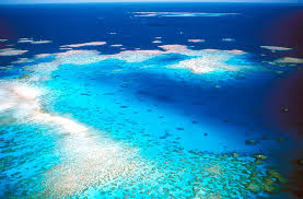 It is the sea country for more than 70 traditional owner groups, home to incredible biodiversity, and important to people for recreation. Great Barrier Reef Wie Viel Kostet Das Grosste Riff Der Erde