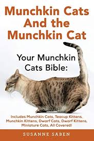 Why buy a munchkin kitten for sale if you can adopt and save a life? Munchkin Cats And The Munchkin Cat Your Munchkin Cats Bible Includes Munchkin Cats Teacup Kittens Munchkin Kittens Dwarf Cats Dwarf Kittens And Miniature Cats All Covered Buy Online In United Arab Emirates