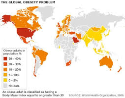 No Need To Say Anything Picture Is Worth A Thousand Words Visalus Europe Obesity Facts Obesity Health