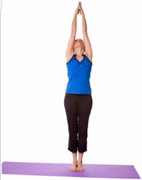 Tadasana Or Mountain Pose Cool Yoga Poses Yoga Asanas Yoga For Flexibility