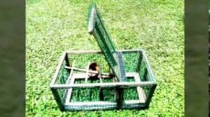 S49 cara membuat sangkar jebakan bird trap. Jebakan Burung Bird Trap By Slamet Wahyudi Channel