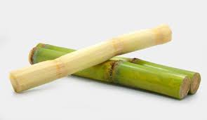 We did not find results for: 991 Chew Cane Stock Photos And Images 123rf