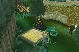 She has no minimum combat or slayer level requirements, and doesn't factor in the player's combat level, meaning she may give players tasks much harder than their combat level would otherwise indicate. Zanaris Lost City Runescape Guide Runehq