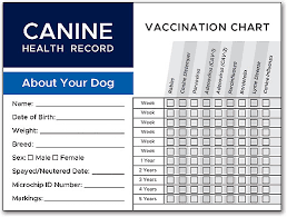 Hồ sơ sức khỏe chó | Thẻ tiêm chủng cho thú cưng | SmartPractice Veterinary