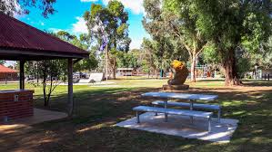 It was surveyed and proclaimed in 1861. Axedale Park Goldfields Guide