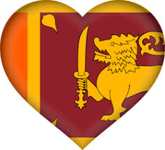Its main motive is yellow lion on a red field holding a sword as a symbol of power. Flagge Von Sri Lanka Bild Country Flags