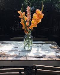 Krakovie Et Ses Cours De Bistrots Aux Bouquets De Glaieuls Krakowcity Poland Coutyard And Flowers In Krakowexperience Vase Glass Vase Glass