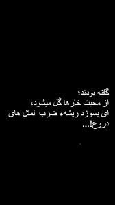 Pin By M N On روحیه ای که مردع In 2020 Afghan Quotes Persian Quotes Old Quotes
