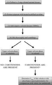 Flow Diagram Of Biochemical Procedures For Identifying The