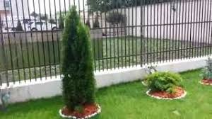 Gradini amenajate ieftin ~ amenajarea gradinii cu piatra decorativa marunt… pamant negru vegetal gazon irigatii gradini amenajat. Gradina Amenajata Cu Flori È™i Gazon Youtube