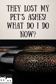 For many, that means scattering the ashes at a favorite park or swimming hole. They Lost My Pet S Ashes What Do I Do Now Impurrfectlife Pet Ashes Pets Pet Loss