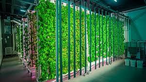 New Sustainability Partnership Launched Between Sodexo And Zipgrow Inc