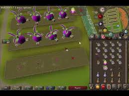 In this osrs farming guide, we mention every method in the game to reach 99 farming. Efficient Tithe Farming Detailed Explanation 115k Hr 75pts Hr 2007scape