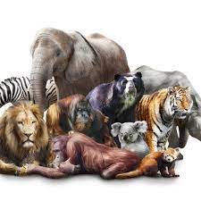 The monotremes are typified by structural differences in their brains, jaws, digestive tract, reproductive tract. We Re All Mammals So Why Do We Look So Different