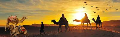 Premier site for desert safari in dubai, evening desert safari, overnight desert safari, dubai city tour and dinner cruises. Camel Trekking Dubai