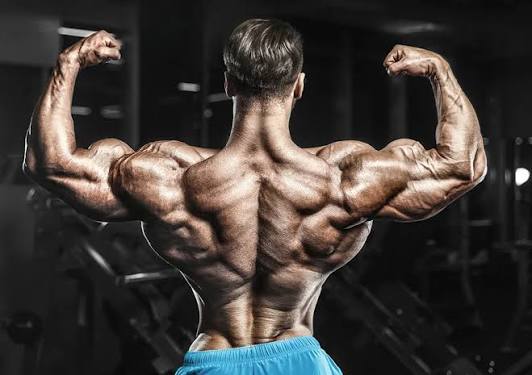 Bodybuilding