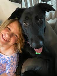 Praying this beautiful boy gets his perfect forever home!! 🙏🏻🙏🏻🙏🏻🙏🏻  Located in Montgomery County, Texas