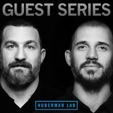 Train Less and Gain Muscle Faster