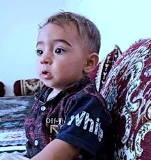 French bulldog traveling with owner